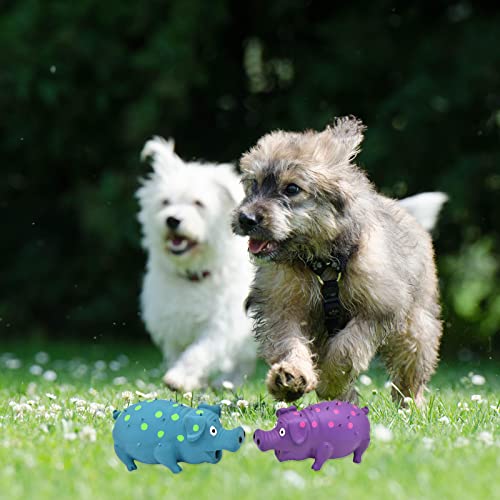 Pig Squeaky Dog Toy, 2 PCS Interactive Rubber Dog Chew Toy - Durable Latex Spot Grunting Pig Toys that Oink for Small Medium Large Dogs (Blue, Purple) - color: Blue, Purple