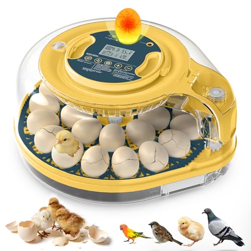 Egg Incubator, 26 Chicken/59 Quail Eggs Incubators for Hatching Eggs with Temp & Humidity Control, Auto Egg Turner, Adjustable Hatch Day & Air Vent, Egg Candler, Auto Water Refill, 360° Clear View - size: 26 Chicken Eggs