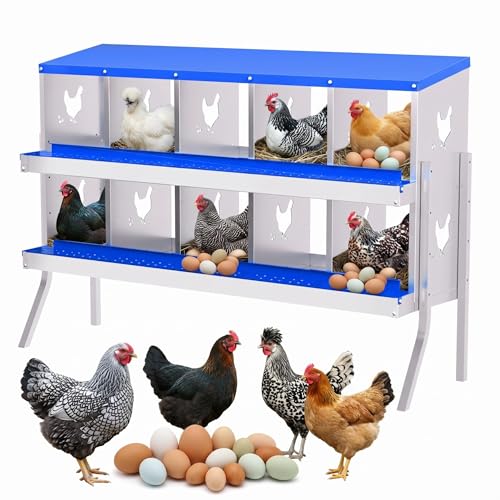 Chicken Nesting Boxes, 10 Compartment Metal Stainless Steel Chicken Laying Boxes with Legs, Easy to Clean and Install, 2-in-1 Wall/Floor Standing, for Hens Outdoor Chicken Coop Farm Yard, Blue - color: Blue, size: 10 holes with legs