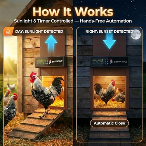 Automatic Chicken Coop Door Solar Powered with HD Screen, Timer & Light Sensor, 5 Modes, Aluminum Alloy, Remote Control Up to 70M - color: Brown
