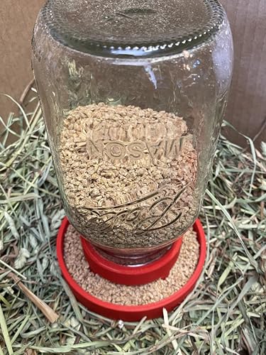 Chick Feeder and Waterer Lid, 2 Piece Set for Standard Mouth Mason Jar (Jars are NOT Included) (RED) - color: RED