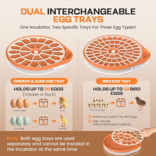 26 Egg Incubators for Hatching Eggs with Smart Voice Control & Two Interchangeable Egg Trays for Needs- Auto Turner, Temp/Humidity Control, Egg Candler for Chicken Duck Quail