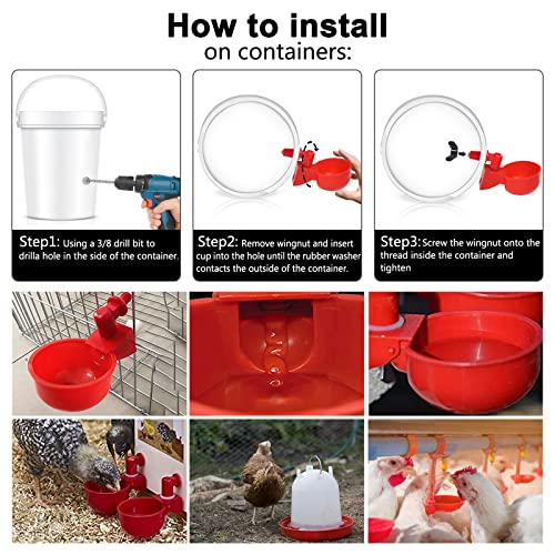Chicken Water Cup Waterer for Poultry, 3/8 in Automatic Filling Waterer Poultry Drinking Bowl Chicken Water Feeder, Automatic Poultry Drinking Bowl for Duck Turkey Rabbit Geese Farm (12)