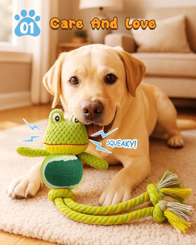 Swooflia Durable Squeaky Dog Toy - Interactive Plush Cute Frog with Rope Legs, Teeth Cleaning Tug Toy for Small Medium and Large Dogs, Puppy Chew Toy for Training and Play - color: Green