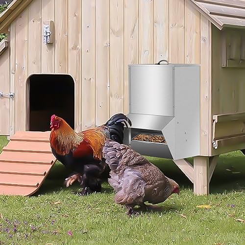 Galvanized Poultry Feeder, 30lbs Capacity Weatherproof Steel Chicken Feeders No Waste, Rat Proof Hanging Chicken Feeder with Lid, Outdoor Coop Food Dispenser for Chicken and Rabbits