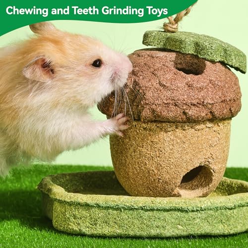 2 Pack Guinea Pig Chew Toys, Prevent Teeth Overgrowth, Rabbit Chew Toys, Natural Treats for Rabbit/Hamster Toys, Natural Timothy Grass & Vegetables, Small Animal Toys for Habitat Decoration