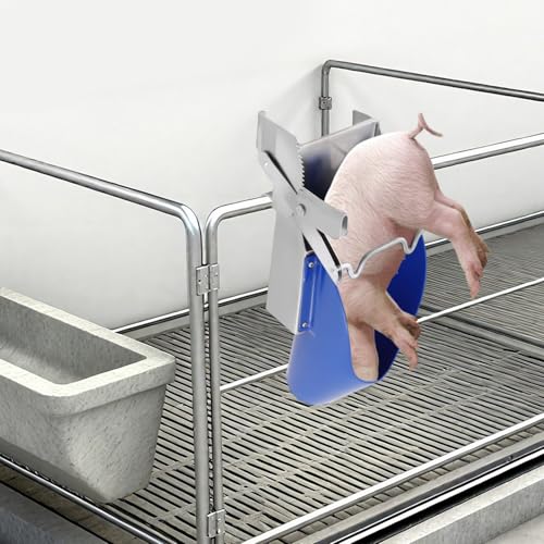Pig CastRodention Tool & Piglet CastRodention Device, Stainless Steel CastRodention Rack with Position Restraint System, Livestock Breeding Equipment for Farm Swine Management and Animal Husbandry
