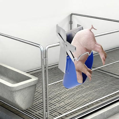 Pig CastRodention Tool & Piglet CastRodention Device, Stainless Steel CastRodention Rack with Position Restraint System, Livestock Breeding Equipment for Farm Swine Management and Animal Husbandry