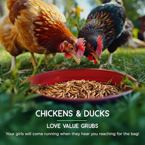 4 lb Black Soldier Fly Larvae for Chickens - High Protein Chicken Feed with 75x More Calcium Than Mealworms - Healthy Poultry Treats for Ducks, Birds - Resealable Bag for Freshness