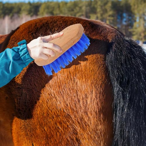 jojofuny Horse Grooming Brush and Stiff Hair Comb, Hard Bristle Cleaning Brush for Equines and Cattle, Blue 15.5X5.5Cm, Suitable for Stable Use and Animal Hair Maintenance