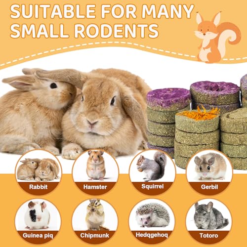 VESPRO 30PCS Guinea Pig Hay Food Natural Rabbit Chew Toys for Teeth，Hamster Toys, Bunny Chew Toys Timothy Hay Treats for Rabbits Chinchillas Rats, Small Animals Teeth Grinding - size: 30Pack-grass cake