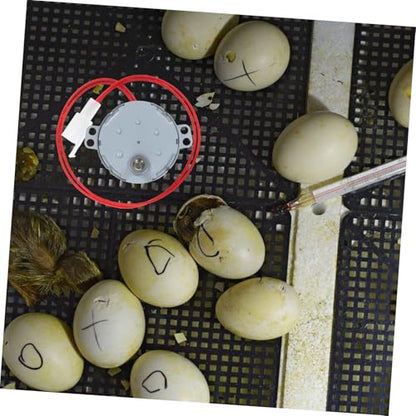110v Egg Hatching Incubator Accessory Mini Egg Turner Motor Yolk Turner Incubator Motor