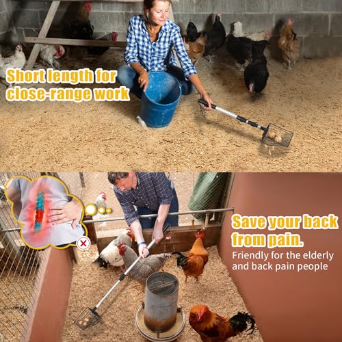 Chicken Poop Scooper & Rake, 3 in 1 Chicken Coop Scoop 23" to 42" Adjustable, Durable Metal Sifting Litter Shovel, Chicken Coop Accessories for Chickens Coop, Small Farm Animals, Cat Litter