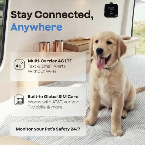 Waggle RV Pet Temperature Monitor - 4G Cellular, No WiFi Required - Real-Time App, SMS & Email Power Outage Alerts - Unlimited Notifications - Home, Car, RV & Vacation Safety - Subscription Required - style: Lite+ (Subscription Required)