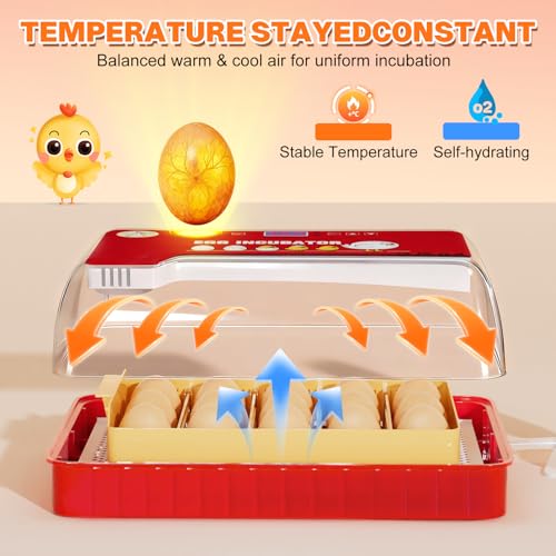 Incubators for Hatching Eggs 15-35 Eggs Incubator with Automatic Egg Turning and ℉Temperature Display LED Candler Poultry Incubator for Hatching Chicken Duck and Quail Incubator (Red)