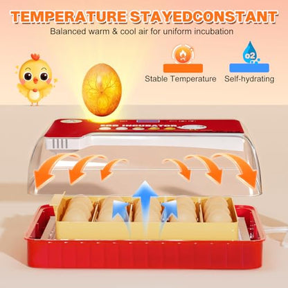 Incubators for Hatching Eggs 15-35 Eggs Incubator with Automatic Egg Turning and ℉Temperature Display LED Candler Poultry Incubator for Hatching Chicken Duck and Quail Incubator (Red)