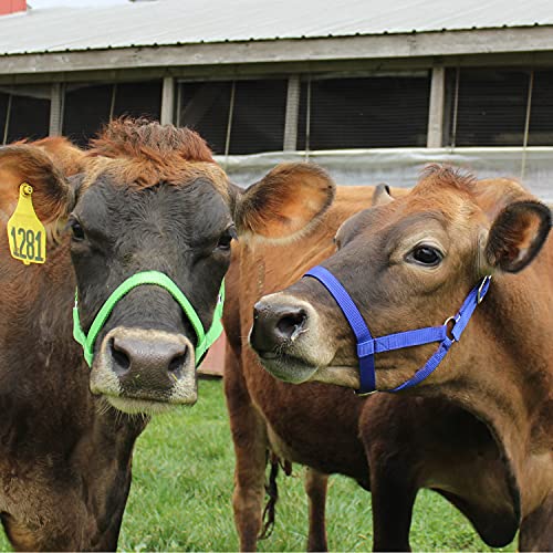 Derby Originals Adjustable Nylon Livestock Cattle Halters - color: Pink, size: Small (250-500lbs)