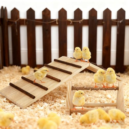 2-in-1 Chick Perch & Ramp Trainer Set, Wooden Chicken Roost Bar & Stand for Brooder Coop, Baby Chicken Supplies Toys for Chicks Ducks Quails and Small Animals