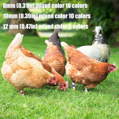 100pcs Foot Bands - 8/10/12mm Poultry Leg Straps, 10 Colors, No. 001-500 Poultry Leg Straps for Chicken, Duck, Pigeon 10mm (0.39in) 001-100 - color: 10mm (0.39in)001-100