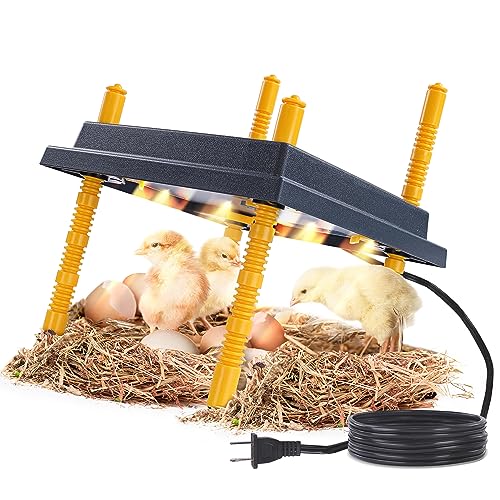 Rural365 Chick Heating Plate Brooder Plate - 10 Inch Brooder Heat Plate for Chicks and Ducklings with Adjustable Height - size: 10 x 10 Inch