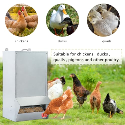 30lbs Capacity Galvanized Chicken Feeder,Outdoor Poultry Feeder with Weatherproof Lid,Hanging Chicken Feeder, Coop Food Dispenser