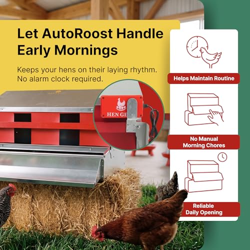 HenGear AutoRoost, Automatic Chicken Coop Door, Auto Chicken Roost Bar Opener with Timer Function, Plug-in Operation for Reliable Morning Access, Easy Setup, Auto Opener, Chicken Coop Accessories