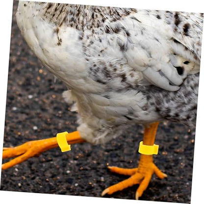 SUPVOX 100Pcs Adjustable Poultry Leg Bands for Chickens Ducks and Geese Colorful Identification Rings Open-Style Clips for Farm Marking and Bird Supplies Color