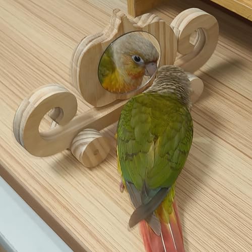Pumpkin Carriage Mirror Toy for Small Birds, Natural Pine Wood, Dual-Sided Rotating Mirror, Rolling Wheels, 8.5x4.3 Inch