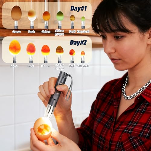 Egg Candlers for Chicken Eggs, 2026 New Egg Candling Light Tester Lamp Egg Checker Incubator for All Chickens Ducks Quail Dark Eggs 【Upgraded USB Charger】 (Grey) - color: Gray