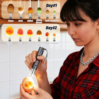 Egg Candlers for Chicken Eggs, 2026 New Egg Candling Light Tester Lamp Egg Checker Incubator for All Chickens Ducks Quail Dark Eggs 【Upgraded USB Charger】 (Grey) - color: Gray