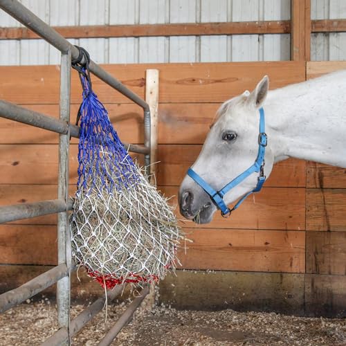 Majestic Ally Pack of 2 Adjustable Halter for Horses–Adjustable Chin and Crown– Sewn-in Throat Snap Hook- Heavy Duty Rose Gold or Black Nickel Finish Hardware–Full - color: Hunter Green