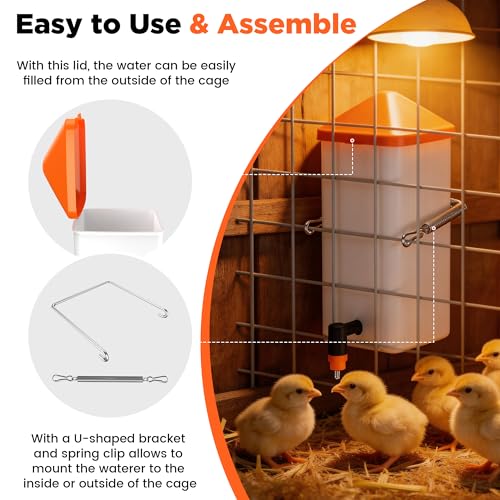 Eggluuz 1L Baby Chick Waterer with 2 Chicks Nipple Drinker and Anti-Roost Cone