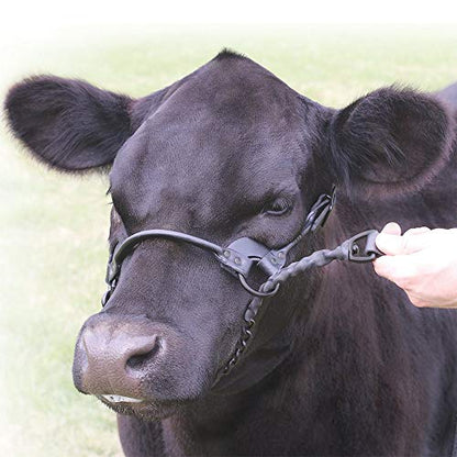 SULLIVAN'S 1st Class Show Halter Black S