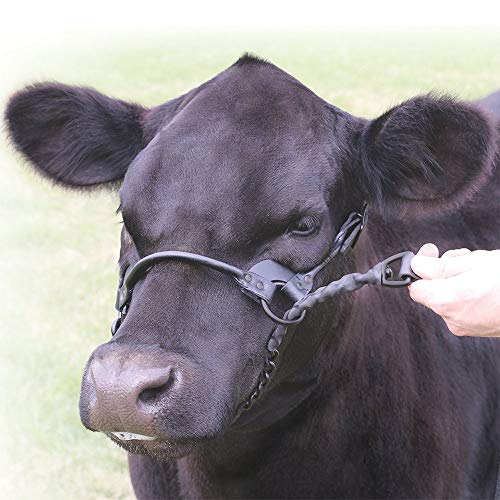 SULLIVAN'S 1st Class Show Halter Black S