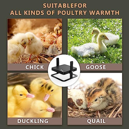 Chicken Brooder Heater, 10"x10" Heat Plate for Chicks with Knob Temperature Control, Adjustable Height and Angle, Ideal Brooder Plate for Ducklings, Quails, Reptiles and Small Animals