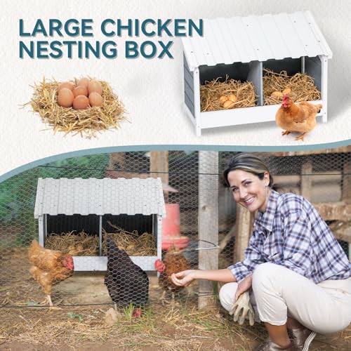 PETSFIT 2 Holes Chicken Nesting Box-All Weather PVC Roof, Natural Wood Design with Privacy Back Panel for Hens-Wall Mounted or Floor Use in Coops, Farms, Backyards,Easy to Assemble and Clean - size: 2 Holes
