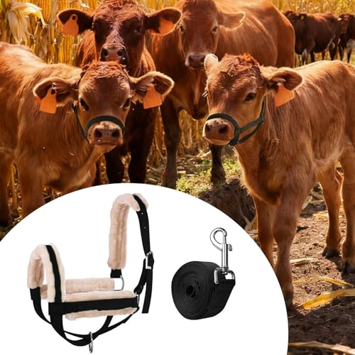 Cattle Traction Halter with Bull Bridle Cow Halter Leading Rope Nylon Calf Halter Adjustable Training Harness Suitable for Animal Handling Bar, Black M