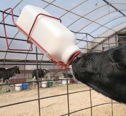 FarmTek Livestock Nursing Bottle – 2-Quart, Easy-Clean Wide Mouth | Heavy-Duty Polyethylene Construction, Secure Screw-On Cap, Wide Mouth, 2-Quart Capacity, BPA-Free