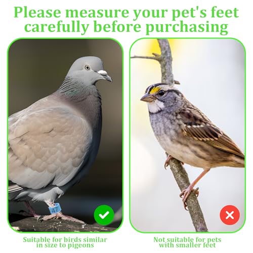 100 Pcs 8mm Birds Leg Rings, Colorful Readable Numbered Pigeons Quail Chick Identification Leg Bands Clip on Leg Rings for Baby Chick Bantam Finch Dove Small Birds