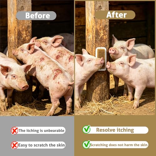 2-Pack Pig Enrichment Scratch Brush – Stress Relief for Pets | Self-grooming tool for mini pet pigs. Helps increase enjoyment. Suitable for pigsties, fences, Wooden Stakes and courtyards