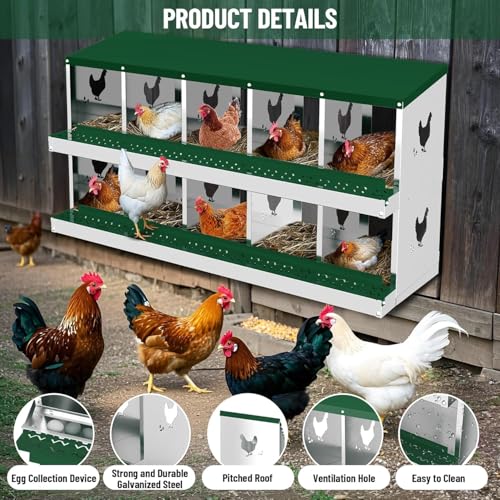 10-Room Galvanized Metal Chicken Nesting Boxes - Rustproof Poultry Laying Boxes with Perch Rod & 8 Fake Training Eggs, Durable Hen Nest Boxes for Chicken Coops, Easy to Clean, Hens Laying Eggs, Green