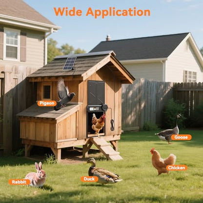 Large Size Automatic Chicken Coop Door Solar Powered, Auto Chicken Door Opener with Timer Modes for Safe and Convenient Chicken Keeping with Intelligent Obstacle Sensors, Remote Control