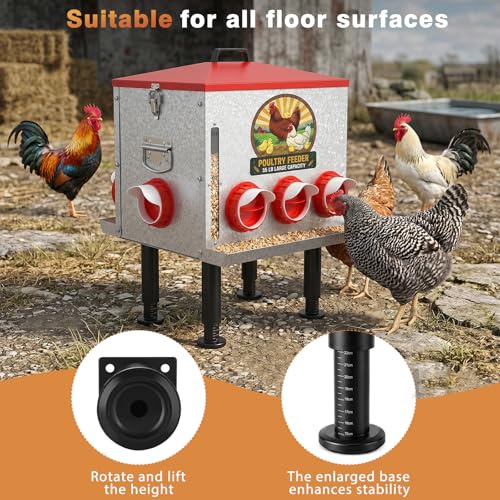 55LB Large Capacity Automatic Chicken Feeder with Window, 8 Feeding Ports Galvanized Steel No-Waste Raised Chicken Feeder with Lid & Height Adjustable Stand, Automatic Gravity Fed for Hens, Roosters