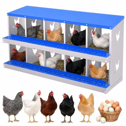 Chicken Nesting Boxes, 10 Compartment Metal Stainless Steel Chicken Laying Boxes, Easy to Clean and Install, 2-in-1 Wall/Floor Standing, for Hens Outdoor Chicken Coop Farm Yard, Blue - color: Blue, size: 10 holes