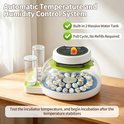 Quail Egg Incubator for Hatching 33 Quail Eggs with Automatic Turner & Humidity Control, Small Quails Brooder, Poultry Egg Incubator for Hatching Parrot Canarys Goose Pigeon in Home Farm - size: 33 Units