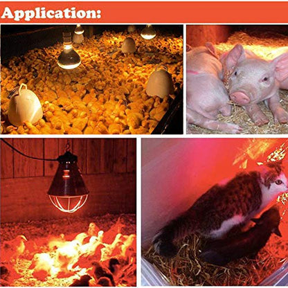 Infrared Heat Lamp 100 watt Red Hard Glass Waterproof Explosion-Proof Light Bulb for Chicken Pig Farm Pets Physiotherapy Bathroom in Winter(100w,120V)
