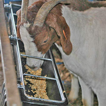 Little Giant HF9BLACK Hook Over Goat Trough Heavy Duty Galvanized Steel Body 9 Quart Feeder with Universal Mounting, Black (3 Pack)