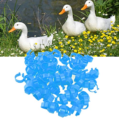 100Pcs Poultry Foot Ring Chicken Bird Duck Identification Leg Bands Open Type Buckle Chicken Ankle Rings (25mm) - size: 25mm, style: 25mm