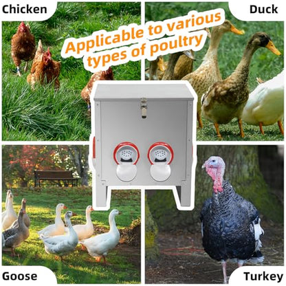 Automatic Poultry Chicken Feeder No Waste Metal Large Capacity 30 lbs Feeders for Chickens Ducks, Geese Bantams Pheasants Coop Weatherproof (6-Port) - size: 6-Port