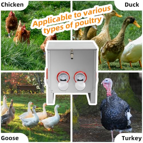 Automatic Poultry Chicken Feeder No Waste Metal Large Capacity 30 lbs Feeders for Chickens Ducks, Geese Bantams Pheasants Coop Weatherproof (6-Port) - size: 6-Port